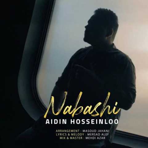 Aidin Hosseinloo Nabashi